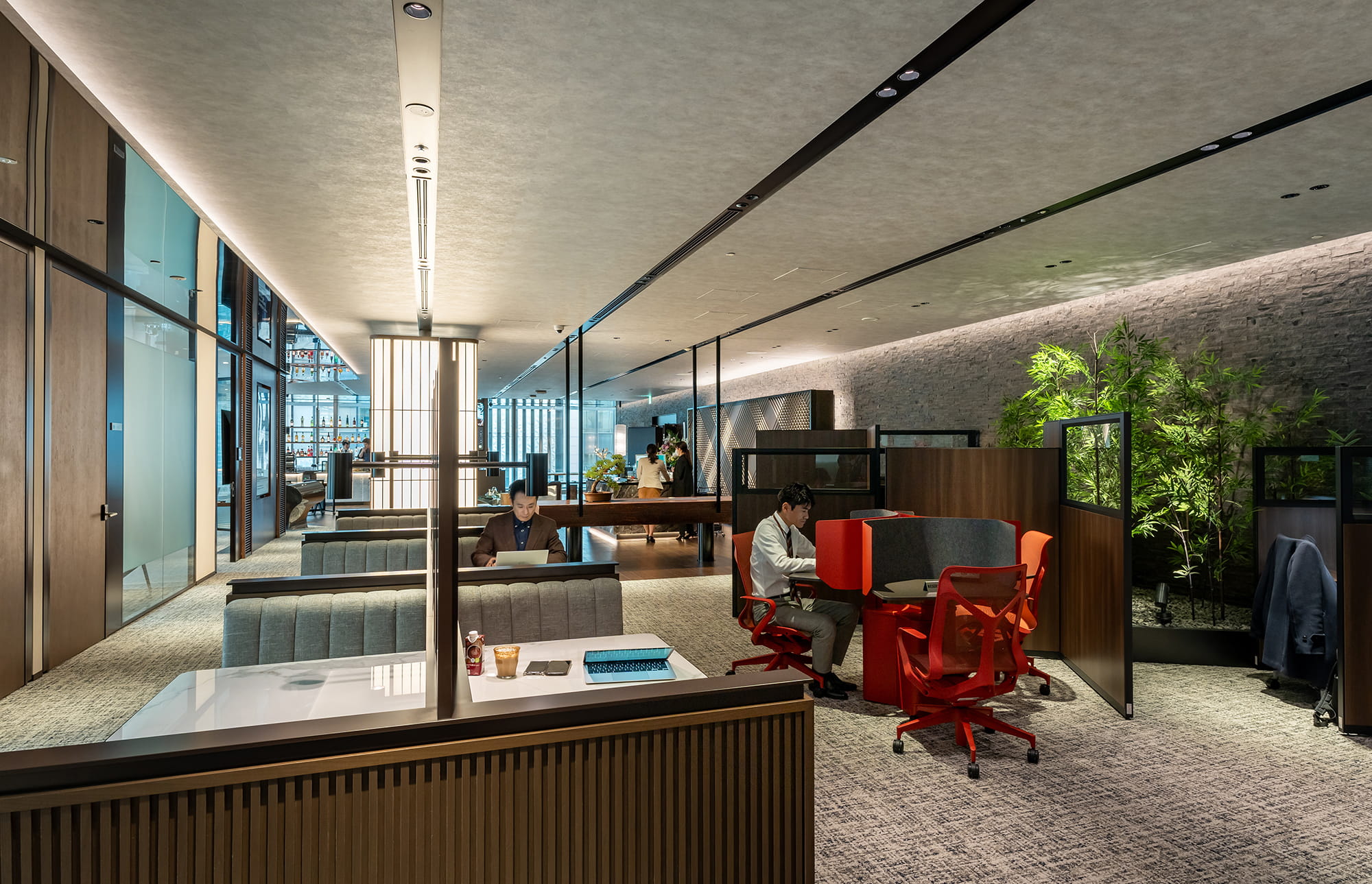 KIMI様確認用　Singapore Orange Center プルメリア KIMI様確認用 Singapore Orange Center プルメリア Named